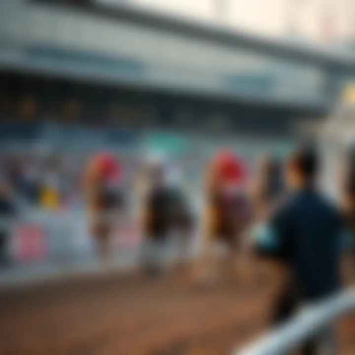 Detailed view of a horse race at Busan