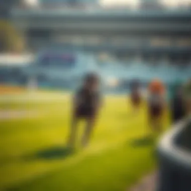 Strategic Betting Approaches Betting strategies for horse racing