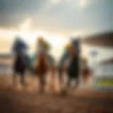 Thoroughbred horse racing action