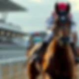 Understanding Major Horse Racing Sites